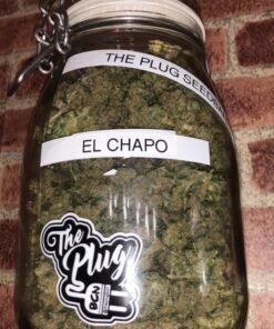 El Chapo OG