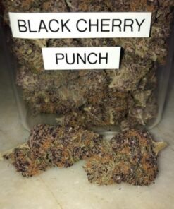 Black Cherry Punch